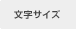 文字サイズ