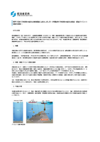 拡大表示